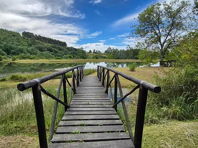 Farm For Sale in Howick - AJTe.webp