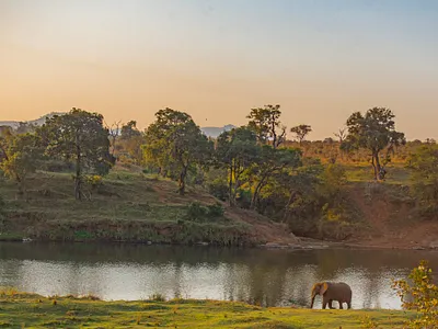 House For Sale in Malelane - 9CN2.webp