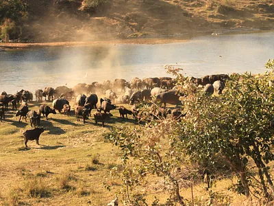 Townhouse For Sale in Malelane - tRHs.webp