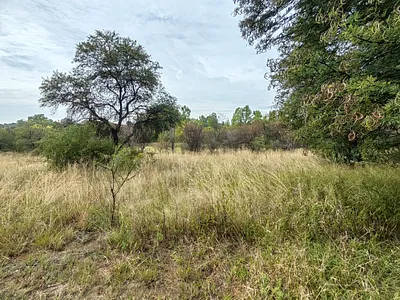 Vacant Land For Sale in Parys - kLEi.webp