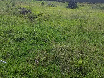 Vacant Land For Sale in Witbank - LdBI.webp