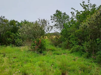Vacant Land For Sale in Plettenberg Bay - eI6P.webp