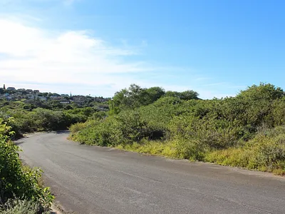 Vacant Land For Sale in Port Alfred - y88t.webp