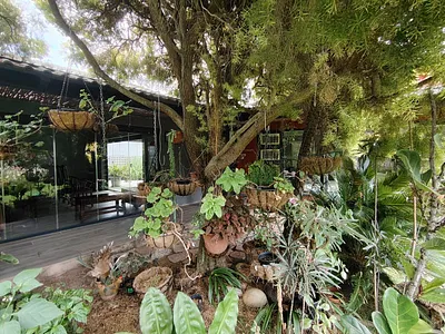 3 Bedroom House For Sale in Plettenberg Bay - img