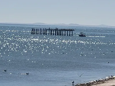 Vacant Land For Sale in Velddrif - Ao2d.webp