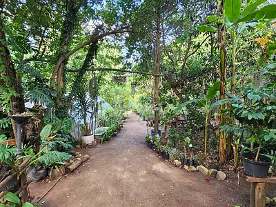 5 Bedroom House For Sale in Swellendam - img