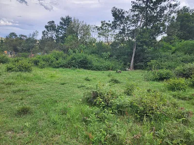 Vacant Land For Sale in Swellendam - Qm1D.webp