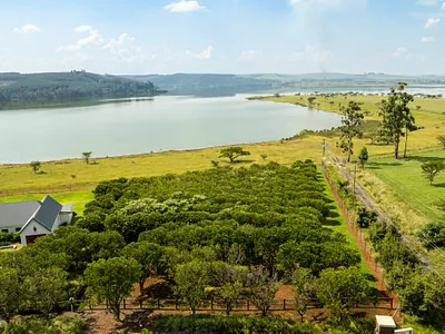 Vacant Land For Sale in Pietermaritzburg - img