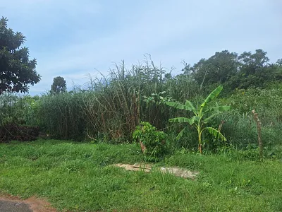 Vacant Land For Sale in Pietermaritzburg - VxeR.webp