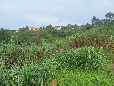 Vacant Land For Sale in Pietermaritzburg - Eoxn.webp