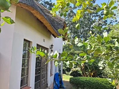 3 Bedroom House To Rent in Hillcrest - qMsJ.webp