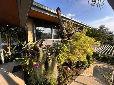 3 Bedroom House For Sale in Nelspruit - AELK.webp