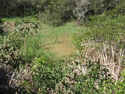 Vacant Land For Sale in Bathurst - Cx9R.webp