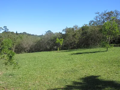 Vacant Land For Sale in Bathurst - Rvsx.webp