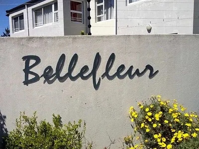 1 Bedroom Apartment To Rent in Bellville - PVnJ.webp