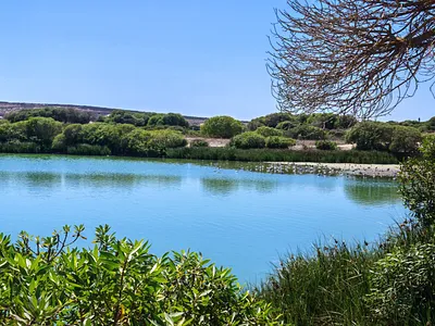 Vacant Land For Sale in Langebaan - VxzO.webp