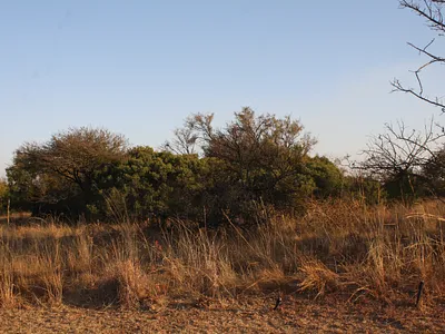 Vacant Land For Sale in Pretoria - img