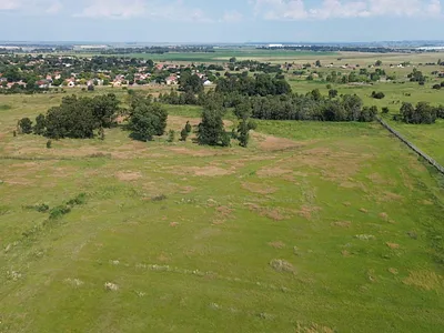 Farm For Sale in Heidelberg - QSvO.webp