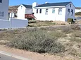Carousel Indicator - XHSP.webp