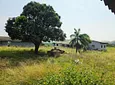 Carousel Indicator - dSOm.webp
