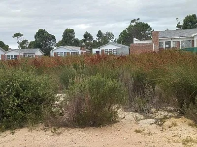 Vacant Land For Sale in Albertinia - d9Te.webp