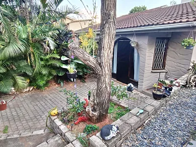 2 Bedroom Apartment To Rent in Ballito - bjvS.webp