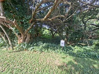 Vacant Land For Sale in Ballito - img