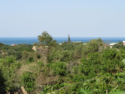 Vacant Land For Sale in Port Alfred - img