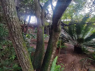 4 Bedroom House For Sale in Pretoria - img