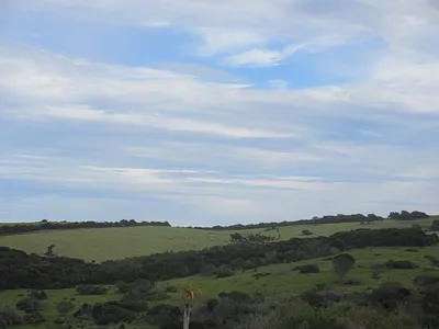 Vacant Land For Sale in Port Alfred - img