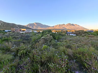 Vacant Land For Sale in Pringle Bay - 6Hub.webp