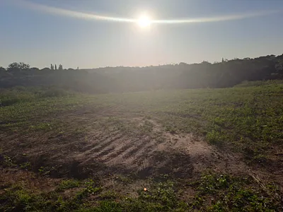 Vacant Land For Sale in Mandeni - img