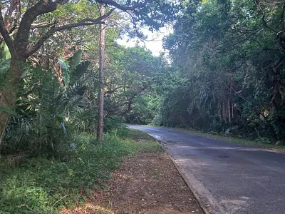 Vacant Land For Sale in Margate - e014.webp