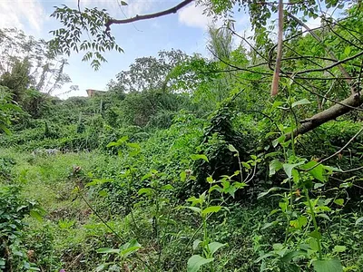 Vacant Land For Sale in Margate - kBAr.webp