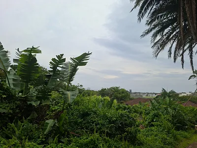 Vacant Land For Sale in Port Edward - UdQX.webp