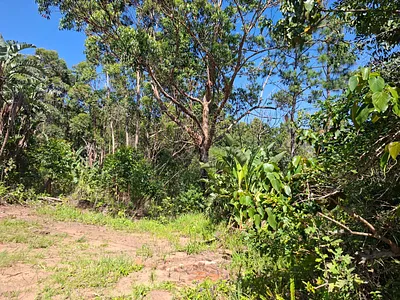 Vacant Land For Sale in Port Edward - img