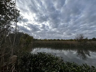 Farm For Sale in Bossemanskraal AH, Bronkhorstspruit - img
