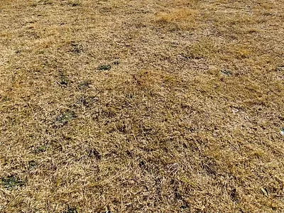 Vacant Land For Sale in Middelburg - img