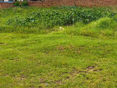 Vacant Land For Sale in Middelburg - lIgK.webp