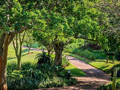 2 Bedroom Apartment For Sale in Umhlanga - Y6E8.webp