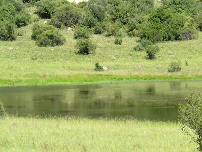 Farm For Sale in Zastron Rural, Zastron - 3Nz4.webp