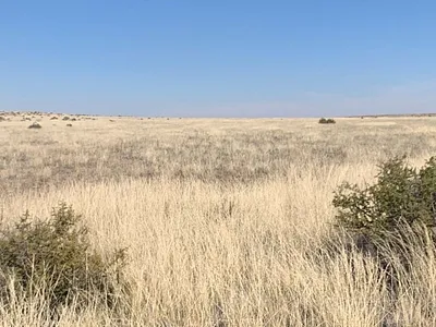 Farm For Sale in Williston - LDxi.webp