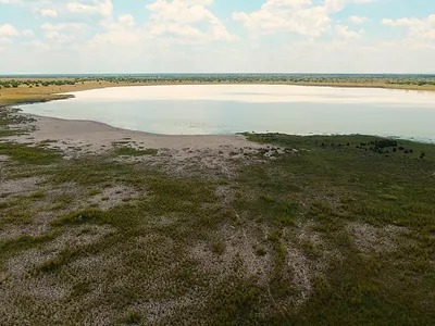 Farm For Sale in Christiana - 1eCr.webp