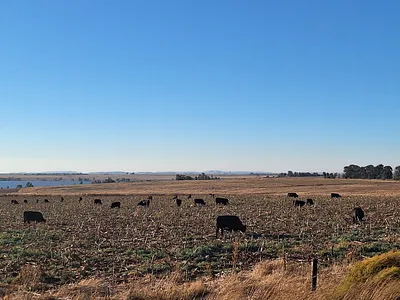 Farm For Sale in Frankfort - 2VGO.webp
