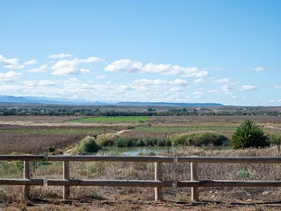 Farm For Sale in Calitzdorp - img