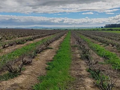 Farm For Sale in Paarl - MRWl.webp