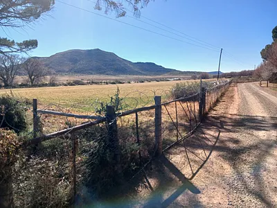 Farm For Sale in Steynsburg - img
