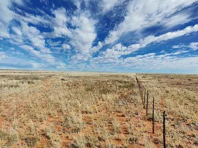 Farm For Sale in Pofadder - hN56.webp
