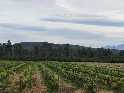 Farm For Sale in Worcester - img