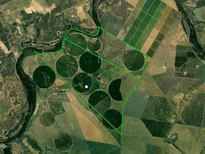 Farm For Sale in Moorreesburg - FaSN.webp